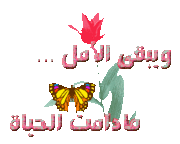 كلمات أنشودة الحلم العربي 237651
